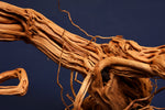 Redwood, Aquarium Wurzel, Größe "L", Exklusiv, RH2435