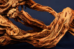 Redwood, aquarium root, size "L", Premium, RH1720