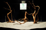 Redwood, aquarium roots in different variants, nano # 4