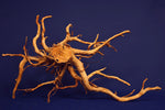 Redwood Hartholz, Aquarium Wurzel, Größe "L", Exklusiv, RH2501