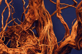 Redwood Hartholz, Aquarium Wurzel, Größe "L", Exklusiv, RH2509