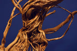 Redwood Hartholz, Aquarium Wurzel, Größe "L", Exklusiv, RH2514