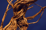 Redwood Hartholz, Aquarium Wurzel, Größe "L", Exklusiv, RH2514