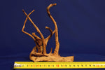 Redwood Hartholz, Aquarium Wurzeln in verschiedenen Varianten, Nano #17