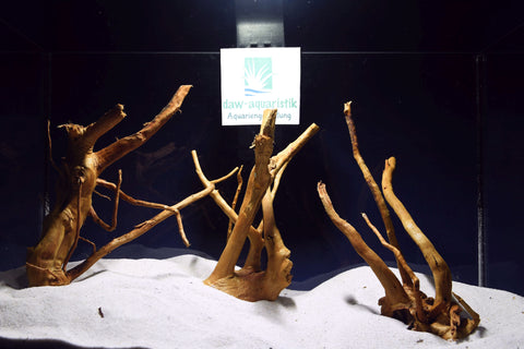 aquarium-wurzel-redwood-aquascaping-rh2575