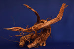 aquarium-wurzel-redwood-aquascaping-rh2643