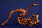 Redwood, aquarium root, size "L", Exclusive, RH1723