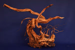 Redwood, aquarium root, size "L", Exclusive, RH1723