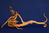 aquarium-wurzel-redwood-aquascaping-rh2671