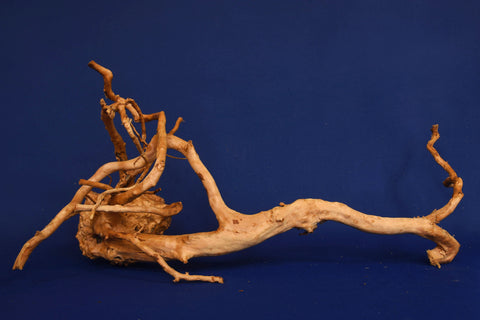 aquarium-wurzel-redwood-aquascaping-rh2671