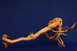 Redwood, Aquarium Wurzel, Größe "L", Premium, RH2671