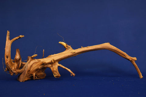 aquarium-wurzel-redwood-aquascaping-rh2672