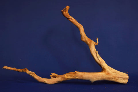 aquarium-wurzel-redwood-aquascaping-rh2673