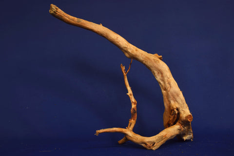 aquarium-wurzel-redwood-aquascaping-rh2674