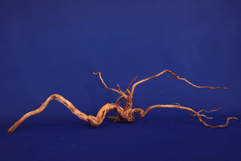 aquarium-wurzel-redwood-moorholz-rh2677