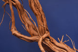 Redwood, Aquarium Wurzel, Größe "XL", Premium, RH2679
