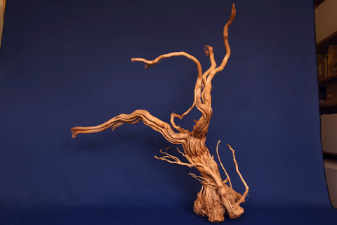 aquarium-wurzel-redwood-moorholz-rh2680