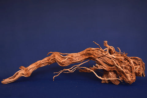 aquarium-wurzel-redwood-moorholz-rh2681