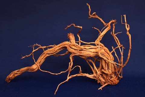 aquarium-wurzel-redwood-moorholz-rh2684