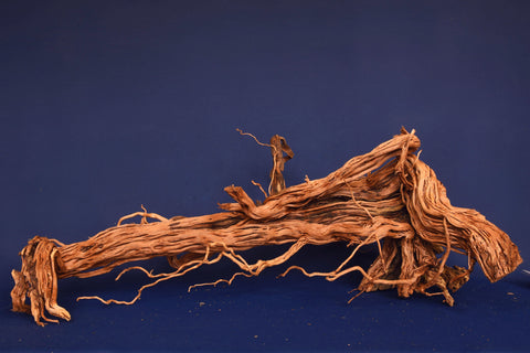 aquarium-wurzel-redwood-moorholz-rh2685