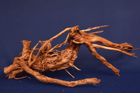 aquarium-wurzel-redwood-moorholz-rh2686