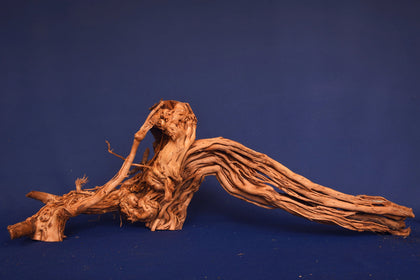 aquarium-wurzel-redwood-moorholz-rh2687