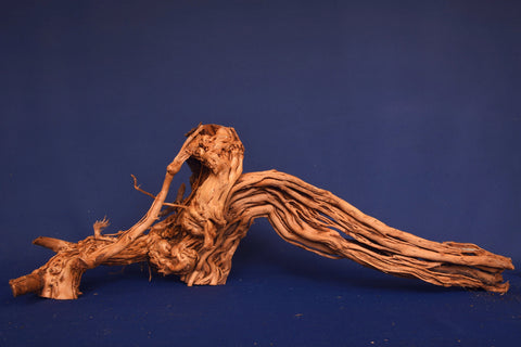 aquarium-wurzel-redwood-moorholz-rh2687