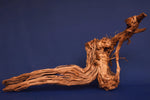 Redwood, Aquarium Wurzel, Größe "L", Exklusiv, RH2687