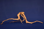 aquarium-wurzel-redwood-moorholz-rh2690