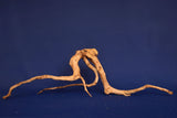 aquarium-wurzel-redwood-moorholz-rh2690