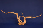 Redwood, Aquarium Wurzel, Größe "L", Premium, RH2690