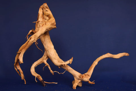 aquarium-wurzel-redwood-moorholz-rh2695