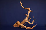 Redwood, Aquarium Wurzel, Größe "L", Premium, RH2695