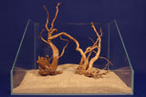 aquarium-wurzel-redwood-moorholz-rh2696