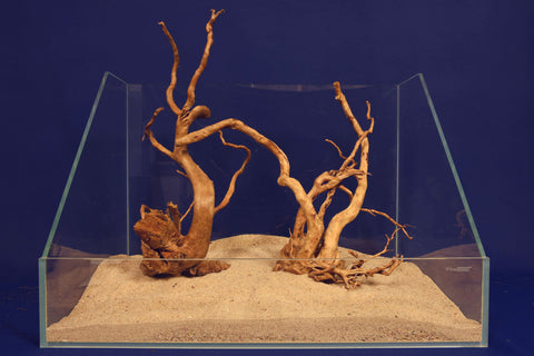 aquarium-wurzel-redwood-moorholz-rh2696