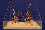 aquarium-wurzel-redwood-moorholz-rh2697