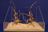 aquarium-wurzel-redwood-moorholz-rh2697