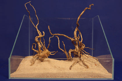 aquarium-wurzel-redwood-moorholz-rh2697