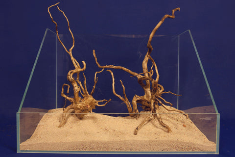 aquarium-wurzel-redwood-moorholz-rh2697