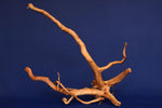 aquarium-wurzel-redwood-moorholz-rh2698