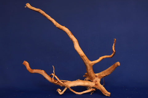 aquarium-wurzel-redwood-moorholz-rh2698