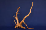 Redwood, Aquarium Wurzel, Größe "L", Premium, RH2698