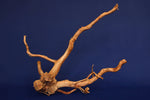 Redwood, Aquarium Wurzel, Größe "L", Premium, RH2698