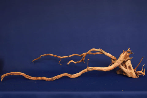 aquarium-wurzel-redwood-moorholz-rh2699