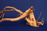 Redwood, Aquarium Wurzel, Größe "L", Premium, RH2699