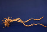 Redwood, Aquarium Wurzel, Größe "L", Premium, RH2699