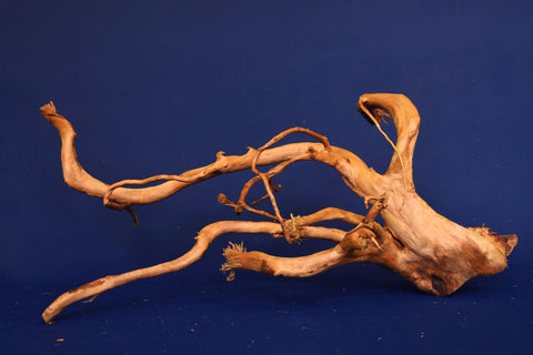 aquarium-wurzel-redwood-moorholz-rh2700