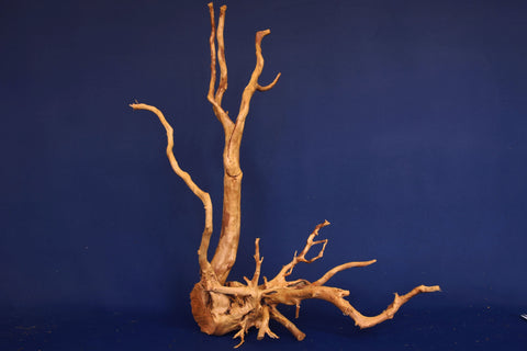 aquarium-wurzel-redwood-moorholz-rh2701