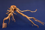 Redwood, Aquarium Wurzel, Größe "L", Premium, RH2701