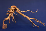 Redwood, Aquarium Wurzel, Größe "L", Premium, RH2701